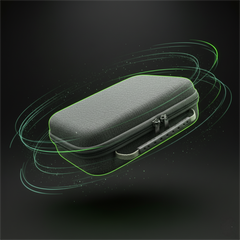 Universal Dual Game Controller Travel Case